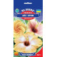 Гібіскус  Айс Крім, 0,2 г, GL SEEDS