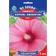 Гібіскус Король вікінгів, 5 шт, GL SEEDS