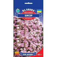 Гіпсофіла Бісер, 0,2 г, GL SEEDS