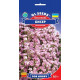 Гіпсофіла Бісер, 0,2 г, GL SEEDS