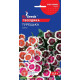 Гвоздика турецька 0.25 г, GL Sedds