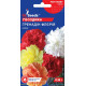 Гвоздика Гренадін Феєрія, 0,15 г, GL SEEDS