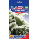 Статиця (кермек) Супрім Вайт, 0,1 г, GL SEEDS
