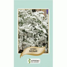 Кермек выемчатый, белый