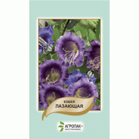Кобея лазаюча, фіолетова 10 шт, Агропакгруп