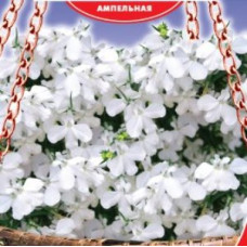 Лобелия ампельная Белая Леди