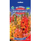 Левовий зів Мідний вершник, 0,2 г, GL SEEDS