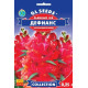 Левовий зів Де Фіанс 0.25 г, Gl Seeds