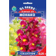 Ротики (Левовий зів) Монако, 0,25 г, GL SEEDS