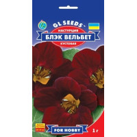 Настурція (Красоля) Блек вельвет 1 г, Gl Seeds