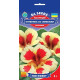 Настурція (Красоля) Полуниця з вершками 1 г, Gl Seeds