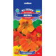 Настурція Мелба, 1 г, GL Seeds