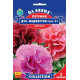 Петунія F1 Дуо Маджестік, 5 шт,  GL Seeds