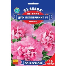 Петунія F1 Дуо Пеппермінт, 5 шт, GL SEEDS