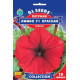 Петунія F1 Лімбо Червона, 10 шт, GL SEEDS
