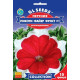 Петунія F1 Пікоті Файєр Фрост, 10 шт, GL SEEDS