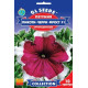 Петунія F1 Пікоті Чері Фрост, 10 шт, GL SEEDS