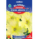 Петунія F1 Прізм Айворі, 10 шт, GL SEEDS