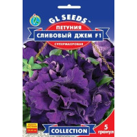 Петунія F1 Сливовий джем, 5 шт, GL SEEDS