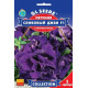 Петунія F1 Сливовий джем, 5 шт, GL SEEDS