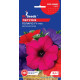 Петунiя Поларіс F1 0.1 г, GL Seeds