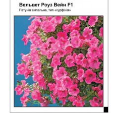 Петуния "Вельвет Роуз Вейн F1" 