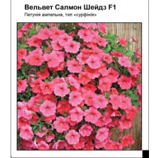 Петуния Вельвет Салмон Шейдз