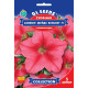 Сурфiнiя F1 Салмон Шейдз Вельвет 5 шт, GL Seeds