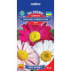 Піретрум Гіганти Робінсона, 0,2 г, Gl Seeds