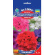 Вербена F1 Імаджінейшен мікс 0.1 г, Gl Seeds