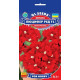 Вербена F1 Люцифер Ред, 0,1 г, GL SEEDS