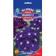 Вербена F1 Мадам, 0,1 г, GL SEEDS