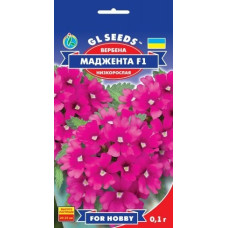 Вербена F1 Маджента, 0,1 г, GL SEEDS