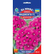 Вербена F1 Маджента, 0,1 г, GL SEEDS