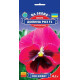 Віола великоквіткова Долина Троянд F1, 0.1 г, Gl Seeds