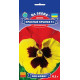 Віола великоквіткова Червоні Крила F1, 0.1 г, Gl Seeds