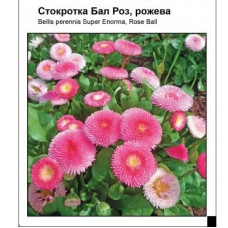 Маргаритка Бал Роз, рожева, 0.1 г, Садиба