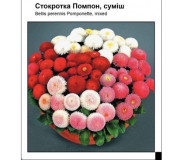 Маргаритка МІНІ упаковка