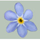 Незабудка Bellamy Light Blue