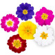 Примула бесстебельная Dania All Colour Mix