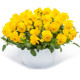 Віола рогата Vivaldi F1 Yellow, 10 шт, Takii