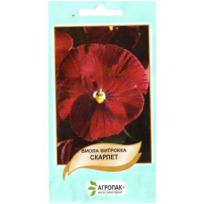 Виола виттрока Скарлет