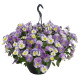 Віола ампельна Highflyer F1 Light Violet Shades, 5 шт, Benary