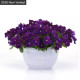 Віола ампельна Top Wave F1 Violet , 5 шт, PanAmerican