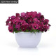 Віола ампельна Top Wave F1 Rose Blotch, 5 шт, PanAmerican
