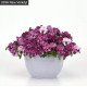 Віола ампельна Top Wave F1 Pink Shades, 25 шт, PanAmerican