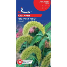 Сетарія Лисячий Хвіст (сухоцвіт), 1 г, GL SEEDS