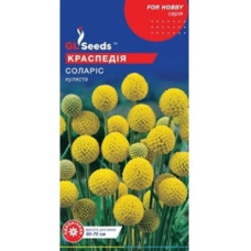 Краспедія Соларіс, 0,1 г, GL Seeds