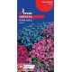 Обрієта Роял Мікс, 0,1 г, GL SEEDS