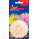 Айстра Випускниця, 0,3 г, GL SEEDS